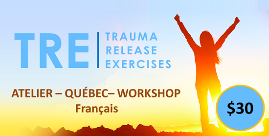 TRE Workshop - QUEBEC - French
